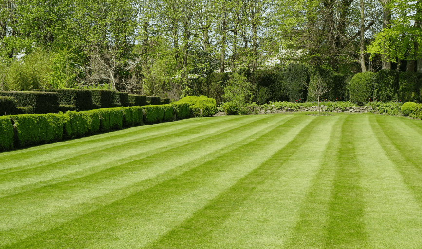 LAWN MOWING
